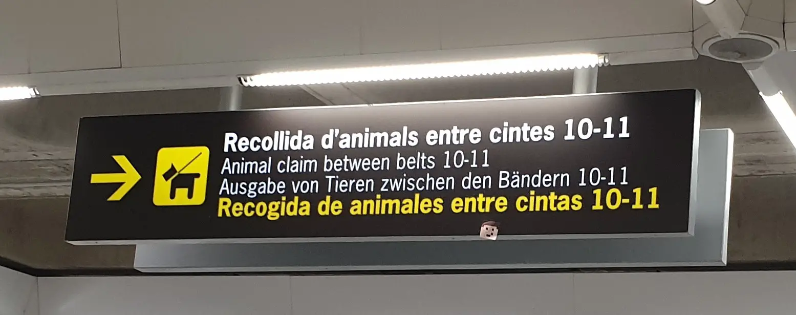 Special Baggage at Palma Airport